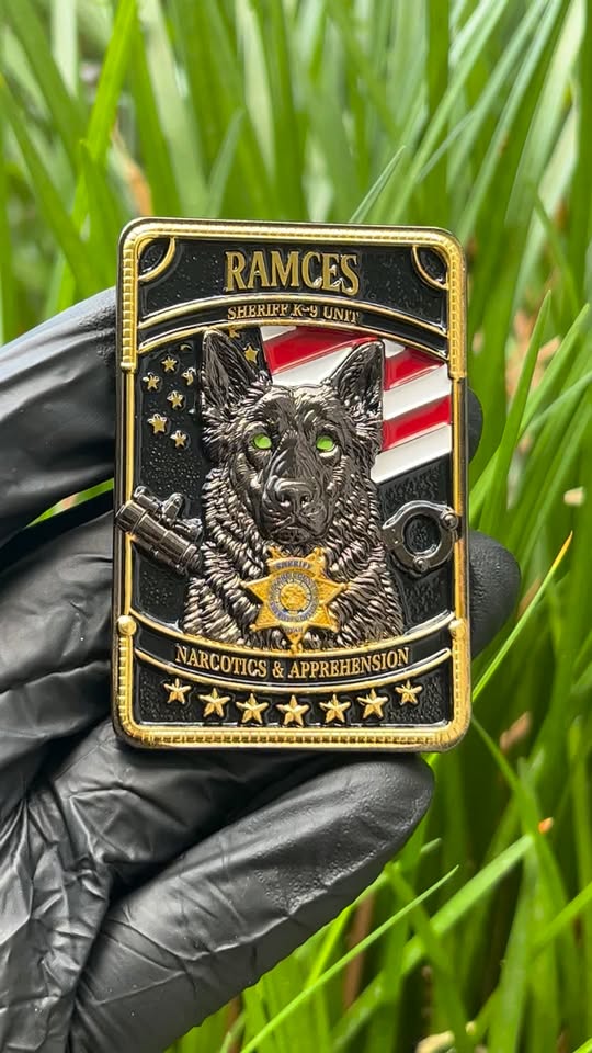 Ramces Sheriff K-9 Unit challenge coin with 3D German Shepherd and green enamel eyes